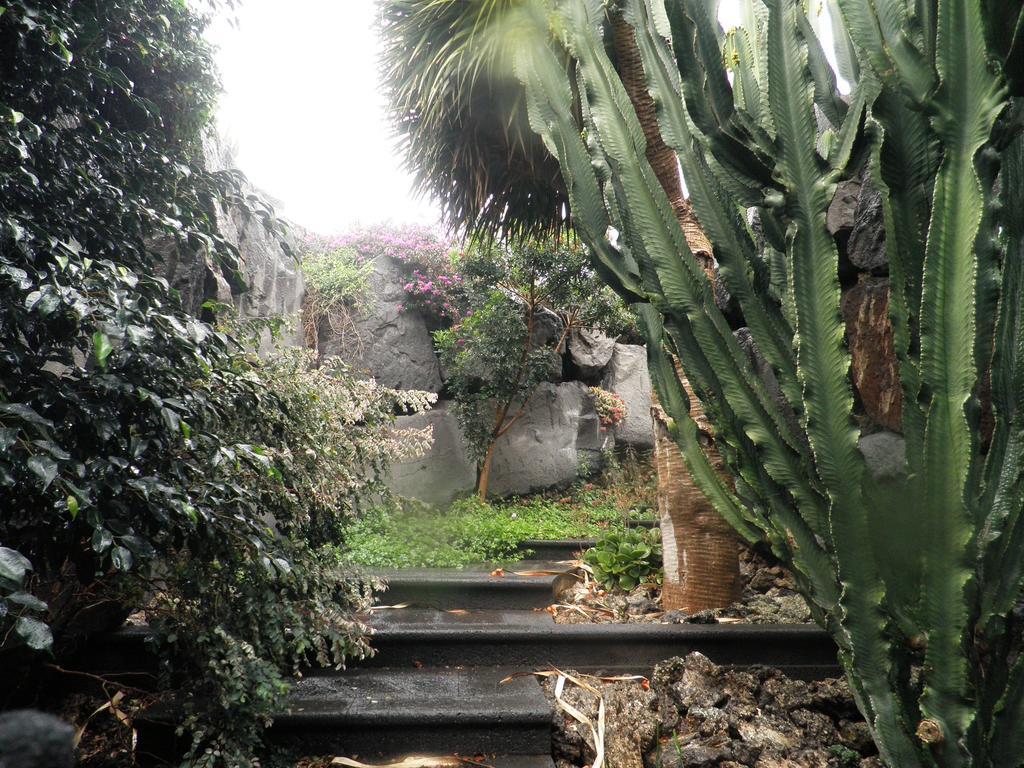 Villa Remedios Teguise  Room photo